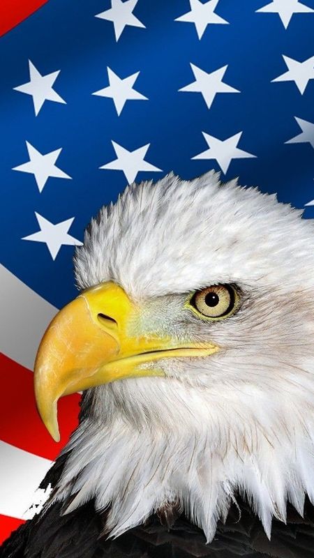 Memorial Day 2022 - American Flag - Eagle Wallpaper