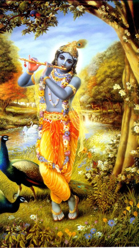 Krishna | Lord Krishna | Shri Krishna | Govind | Murari Wallpaper