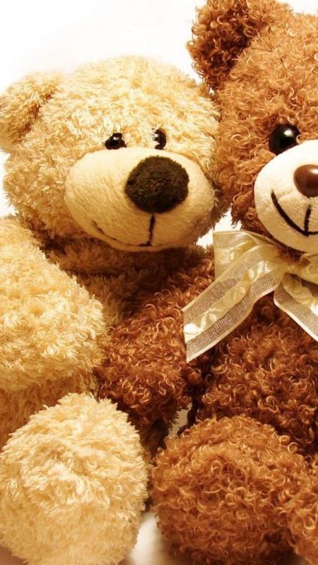 Teddy Bear - happy teddy bear day Wallpaper
