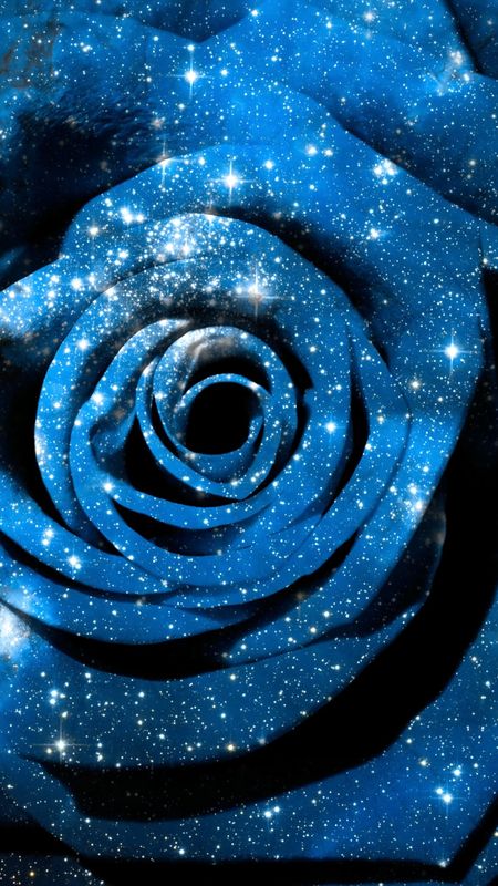 Blue Rose - Galaxy Rose - Rose Art Wallpaper