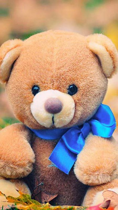 cap wale teddy bear