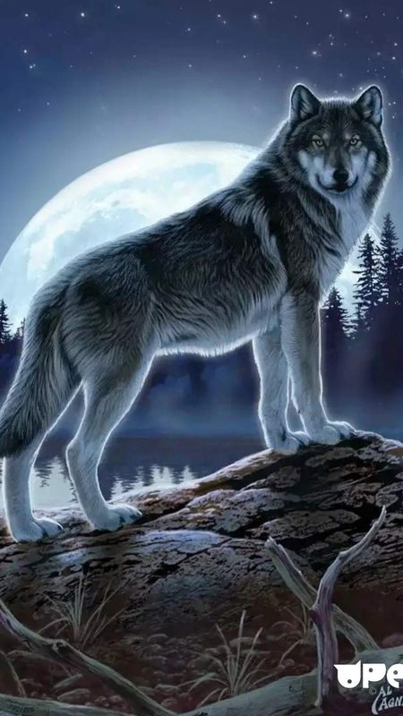 Wolf | Wolf Wild Painting Wallpaper