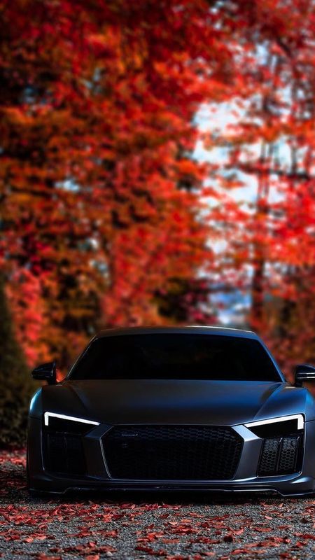 Black Car | Black Audi Car Wallpaper