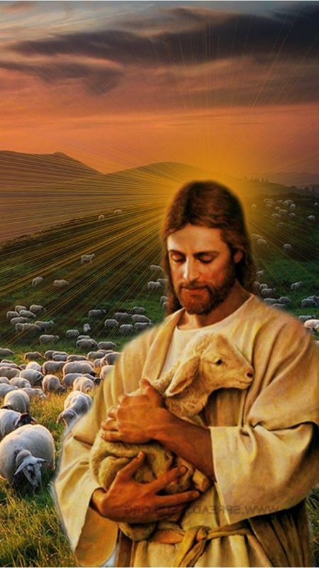 Jesus - Jesus With Lamb - Sheep Background Wallpaper