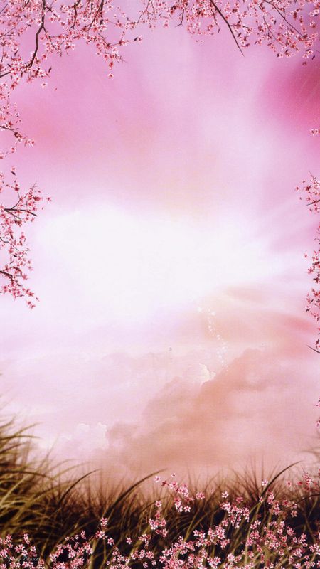 Spring Background | Adorable | Pink Wallpaper
