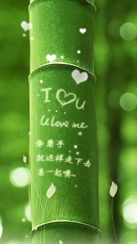 Bamboo love Wallpaper