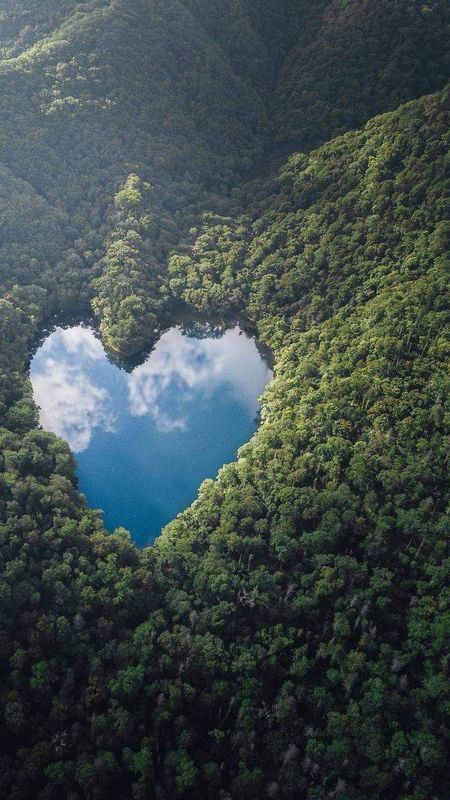 Natural Heart shape Wallpaper