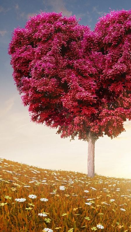 Love Photos - Nature - Love Wallpaper