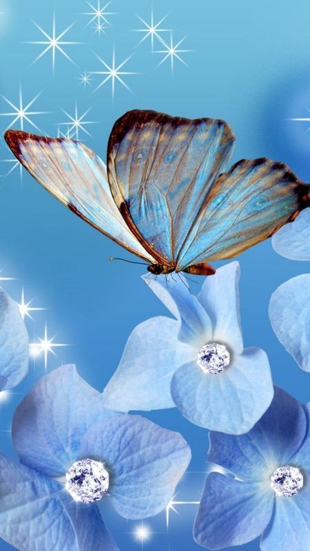 Blue Diamond - Butterfly - Blue Flowers - Background Wallpaper