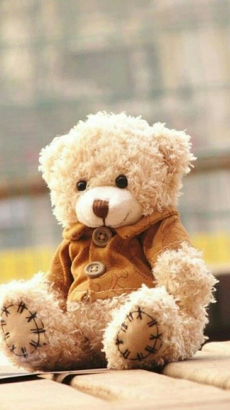 Teddy Bear | Teddy | Bear Wallpaper