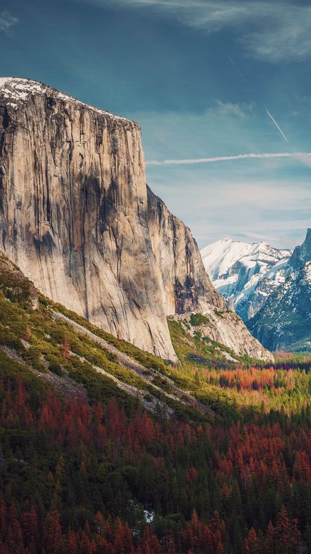 Nature Wallpaper