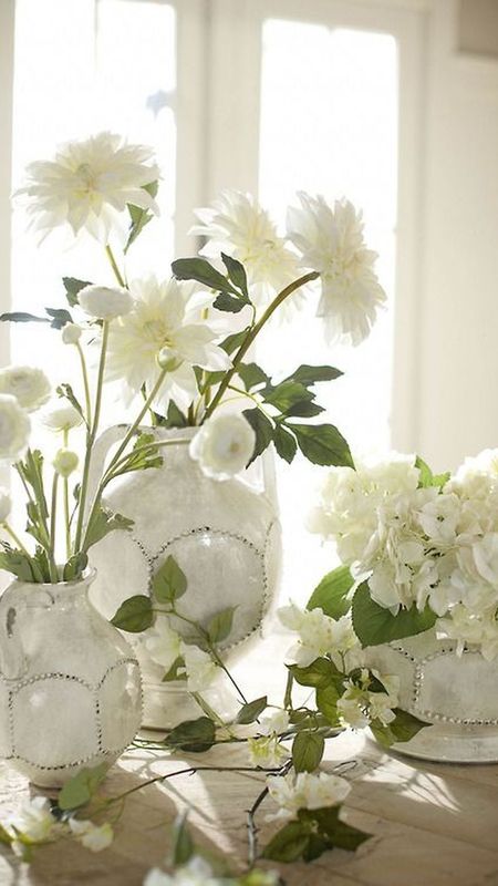 White Flowers | Beautiful | Beautiful White Flowers Wallpaper