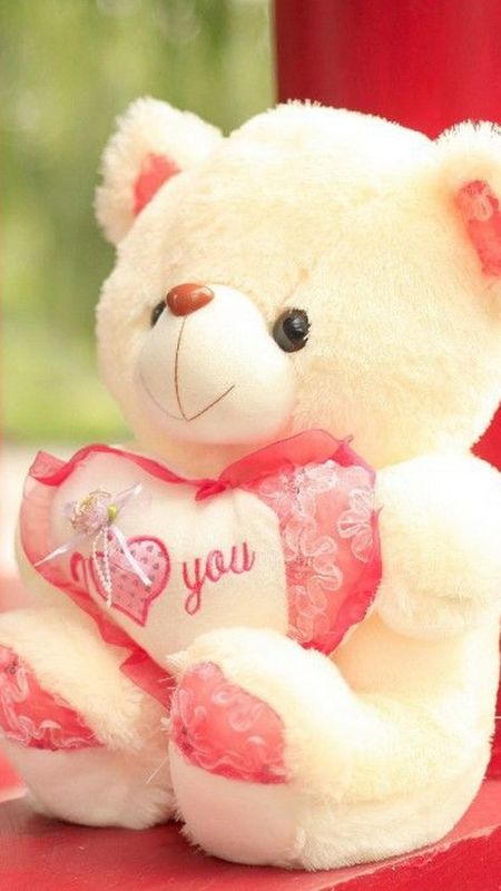 Teddy Bear - love cute Wallpaper