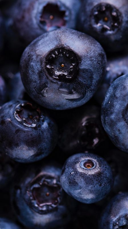 Black Berries Wallpaper