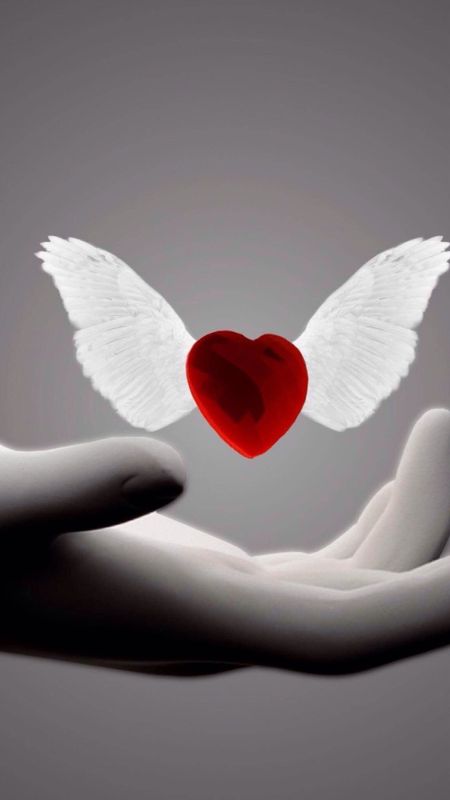 Beautiful Heart | Heart Wallpaper