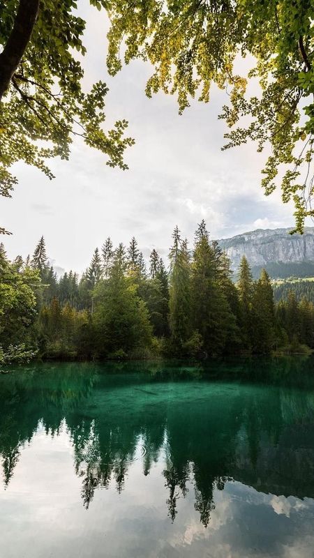 Nature | Beautiful Wallpaper