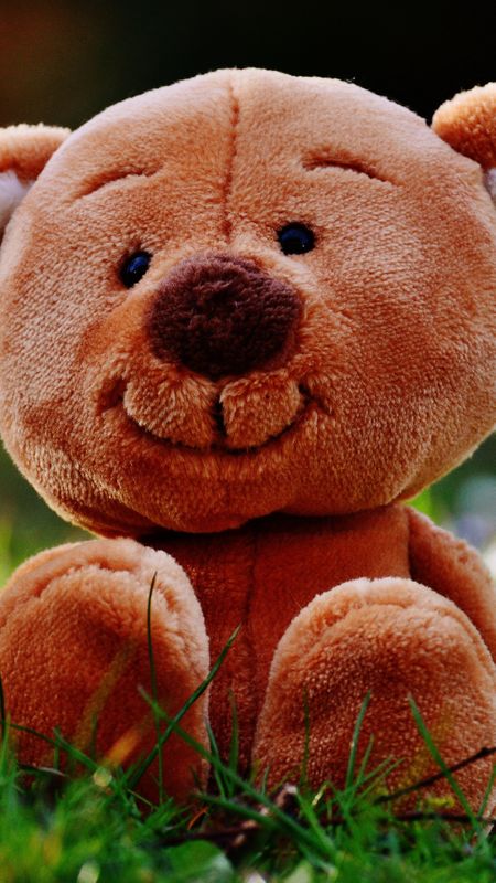 teddy bear Wallpaper