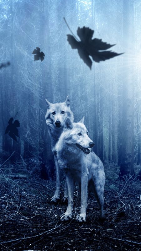 Wolves in the Forest Wallpaper