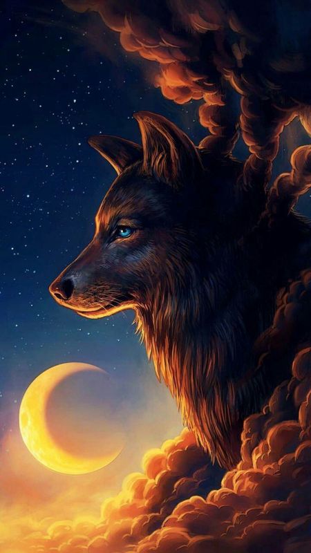Wolf - Wild Animals Wallpaper