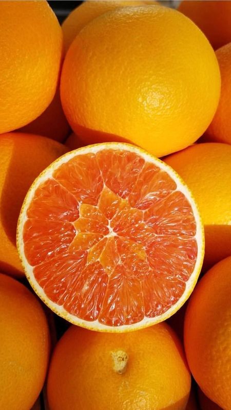 Orange Colour | Orange Wallpaper