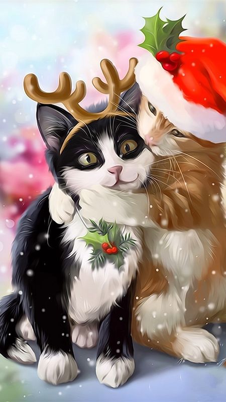 Cute Christmas | Cute Christmas Two Cat Wallpaper