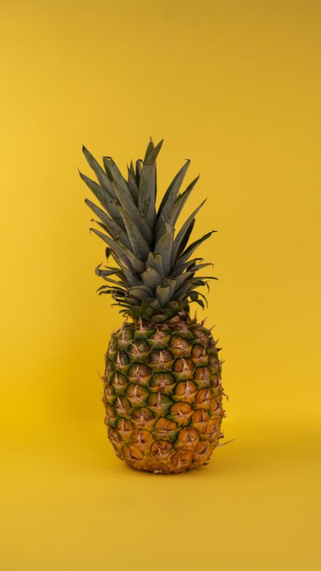 WALLPAPER Wallpaper
