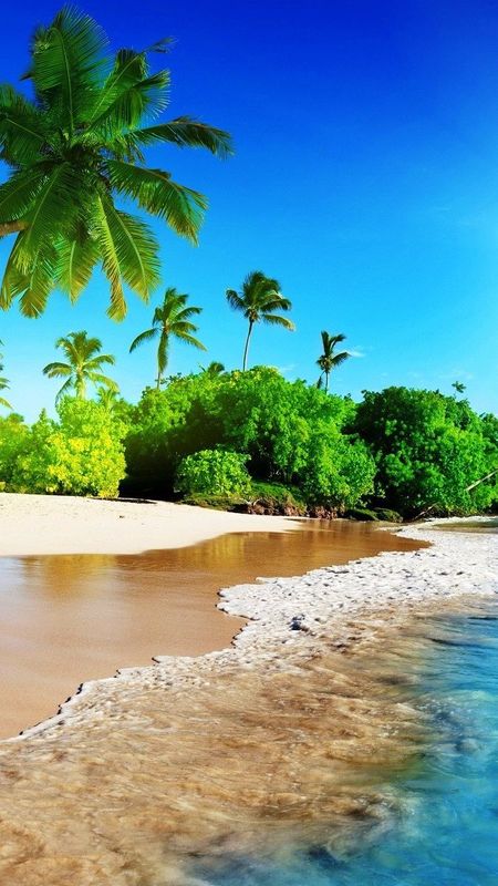 beach Wallpaper