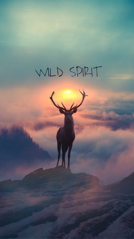 Wild Spirit Wallpaper