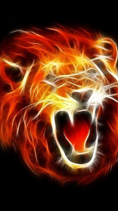 Fire Lion - Lion - Roaring Wallpaper