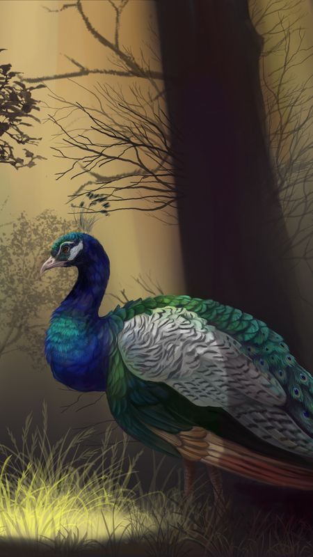 Peacock Feather - Peacock Bird - Painting Wallpaper