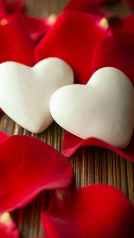 Beautiful Heart | Heart Background Wallpaper