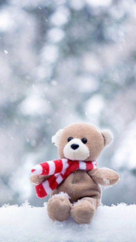Teddy Bear - snow Wallpaper