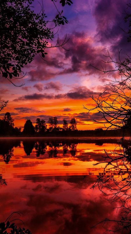 Nature Wallpaper