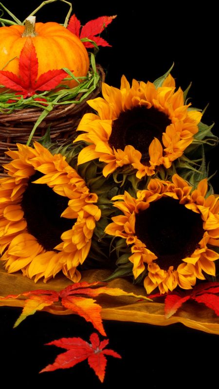 Flower Wallpaper