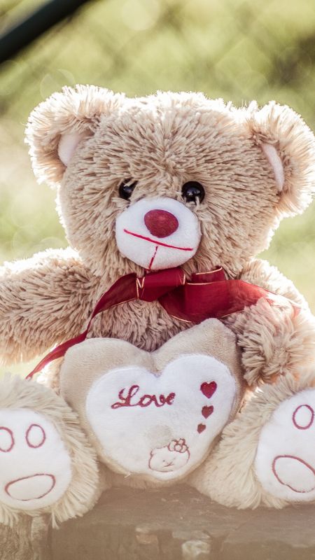 bade wale teddy bear