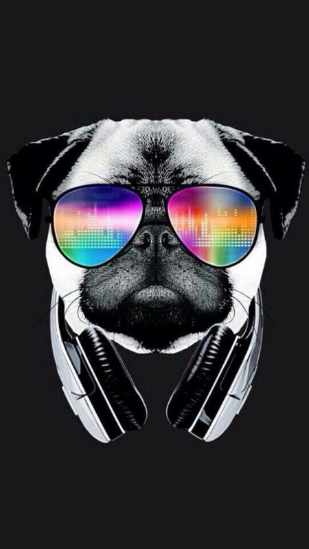 Cool Bulldog Wallpaper