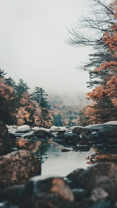 Beautiful Nature Wallpaper